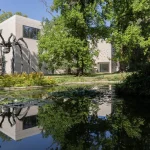 Pond and greenery in the expanded Beyeler Park with a new building visible beyond the trees
