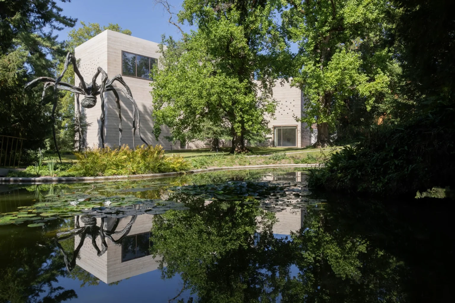 Pond and greenery in the expanded Beyeler Park with a new building visible beyond the trees