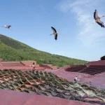 White storks flying above the open-air theater with woven stage structures in the foreground