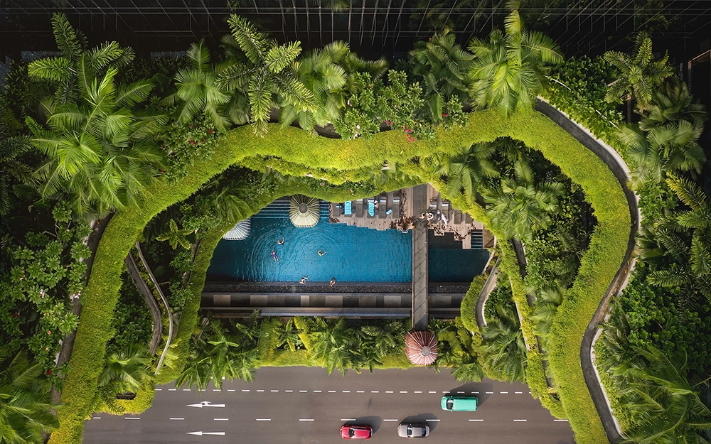Beyond Net-Zero: How Regenerative Architecture Is Actively Healing Ecosystems