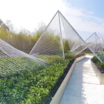 Wide panoramic view of multiple white triangular steel structures lining a white path through bamboo and planting