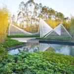 Ground-level view of angular white steel frames reflected in a calm pond with golden bamboo and green planting