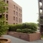 Courtyard space between two textured brick buildings with raised planters and hedging