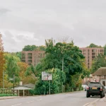 Street view of Lion Green Road with the brick housing blocks rising above mature trees