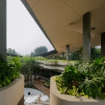 View from under the canopy looking toward the open courtyard of Mitte Oblique Garden, with large concrete planters filled with tropical plants, a wooden deck, seating areas, and people occupying the multi-level space.