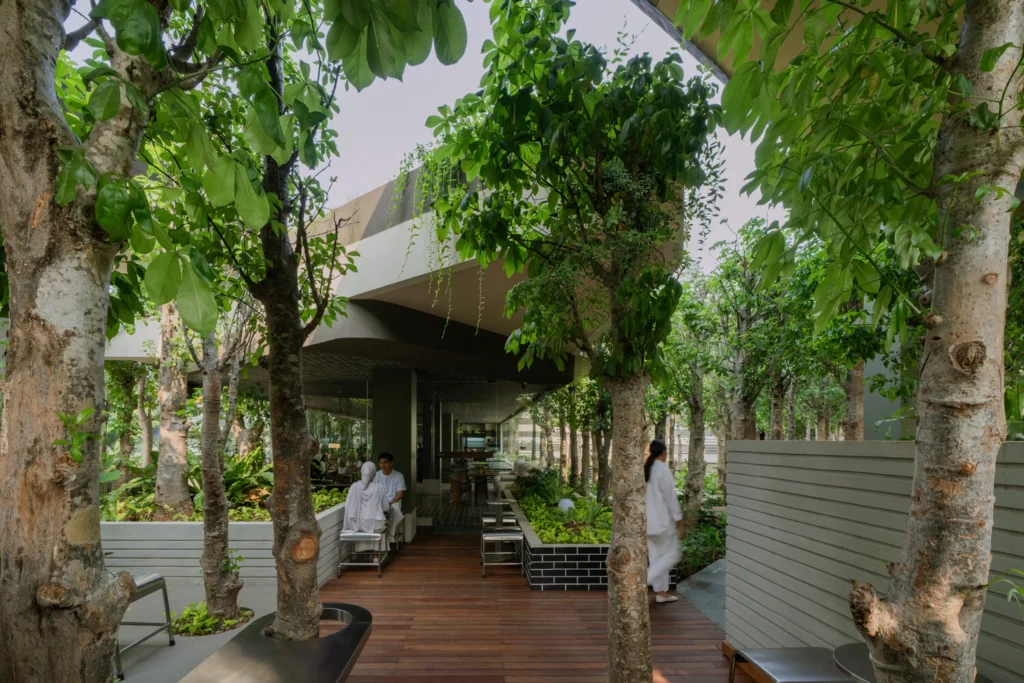 Pathway lined with mature trees and raised planters leading through the open structure of Mitte Oblique Garden, with wooden decking, seating, and people walking and resting under the canopy.