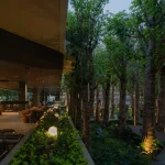 Nighttime view of the dense tree grove and outdoor seating areas at Mitte Oblique Garden, with soft ground lighting highlighting tree trunks and an open glass-fronted interior dining space beyond.