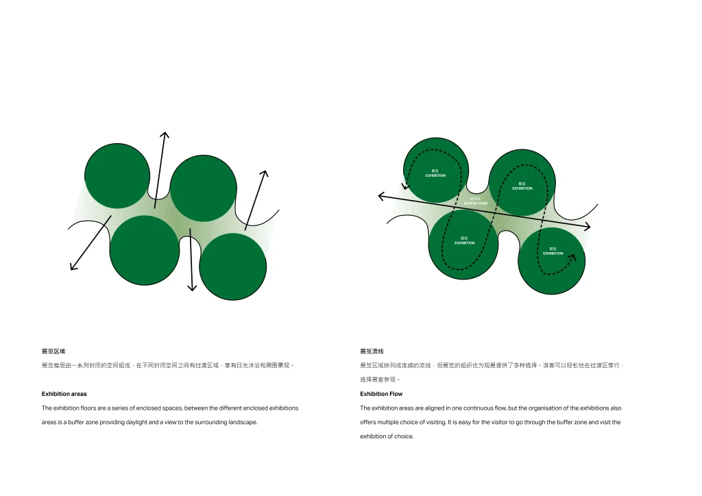 Inside Shenzhen Natural History Museum