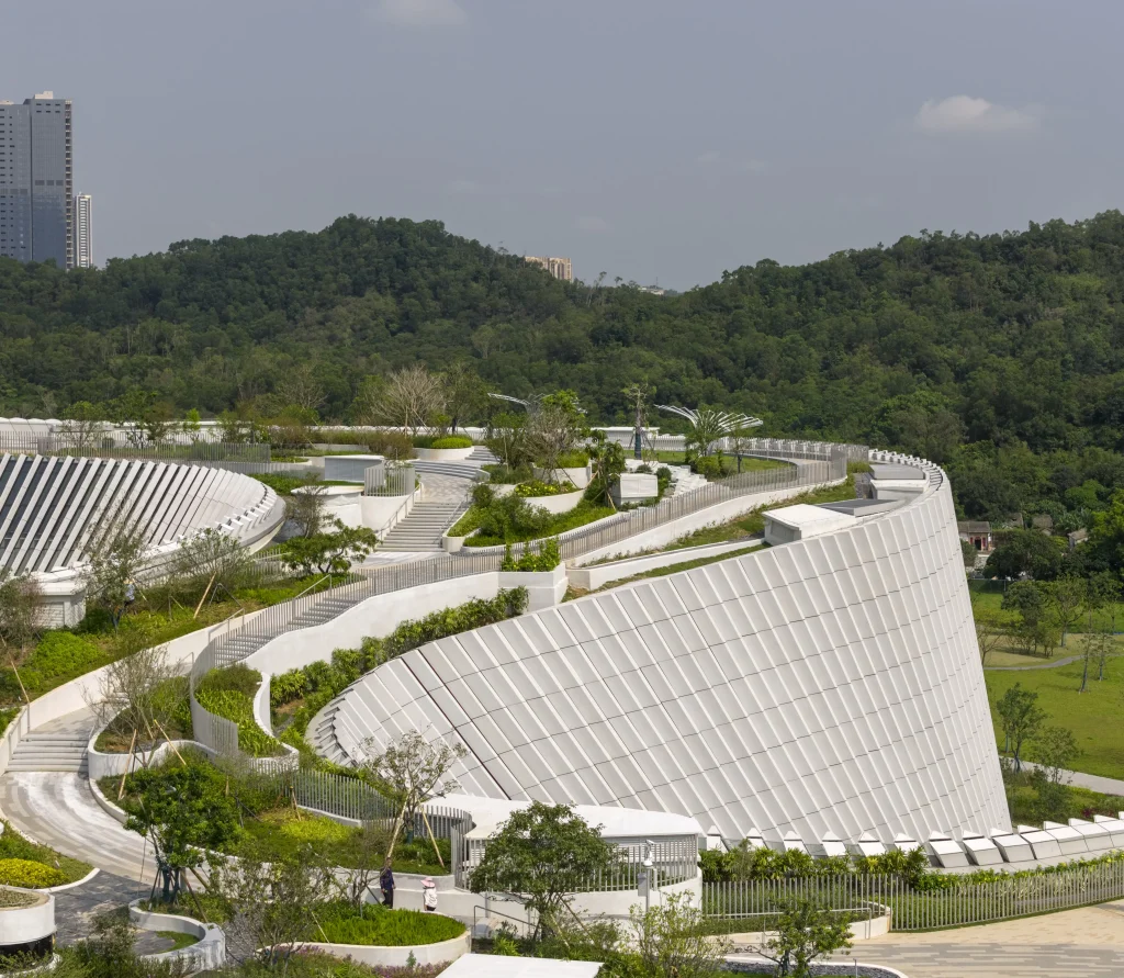 Inside Shenzhen Natural History Museum