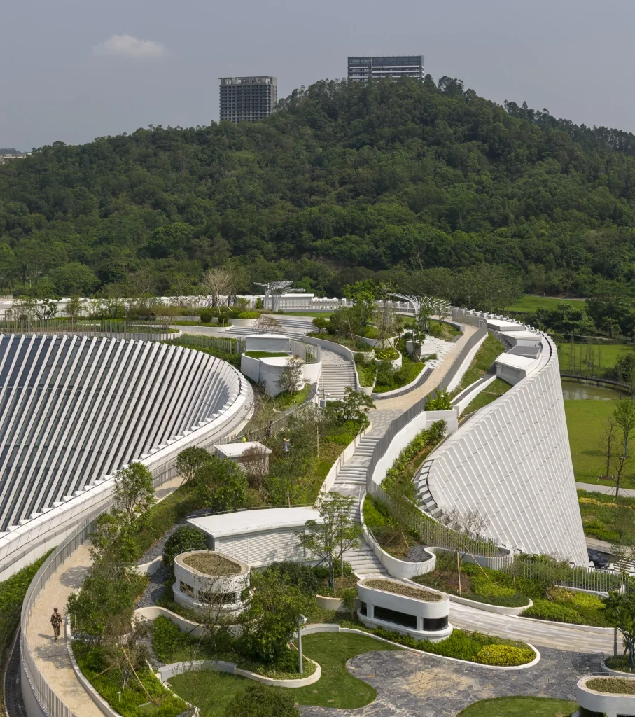 Inside Shenzhen Natural History Museum
