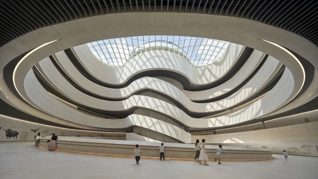 Inside Shenzhen Natural History Museum