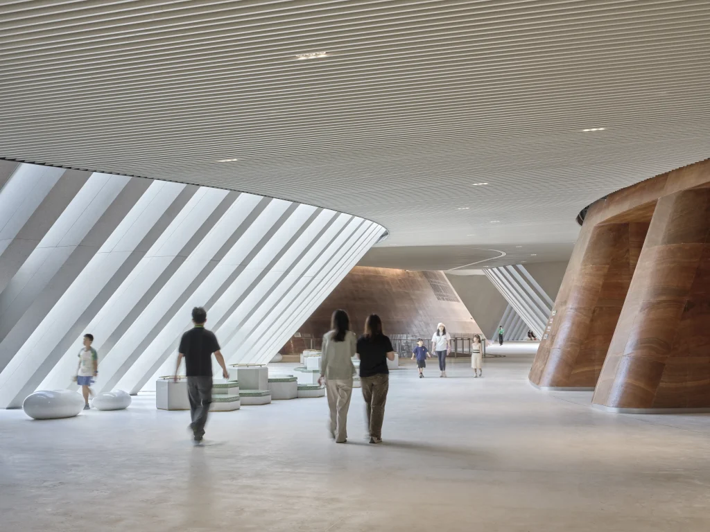 Inside Shenzhen Natural History Museum
