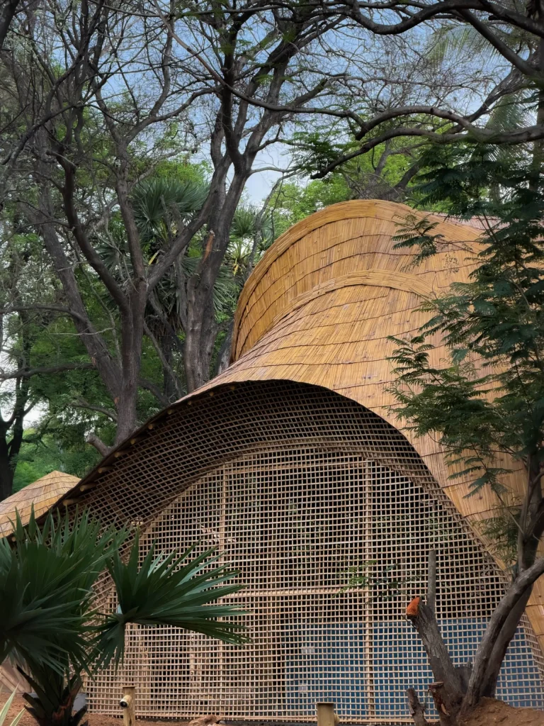 Bamboo pavilion with undulating roof beside a multi-tiered stone fountain