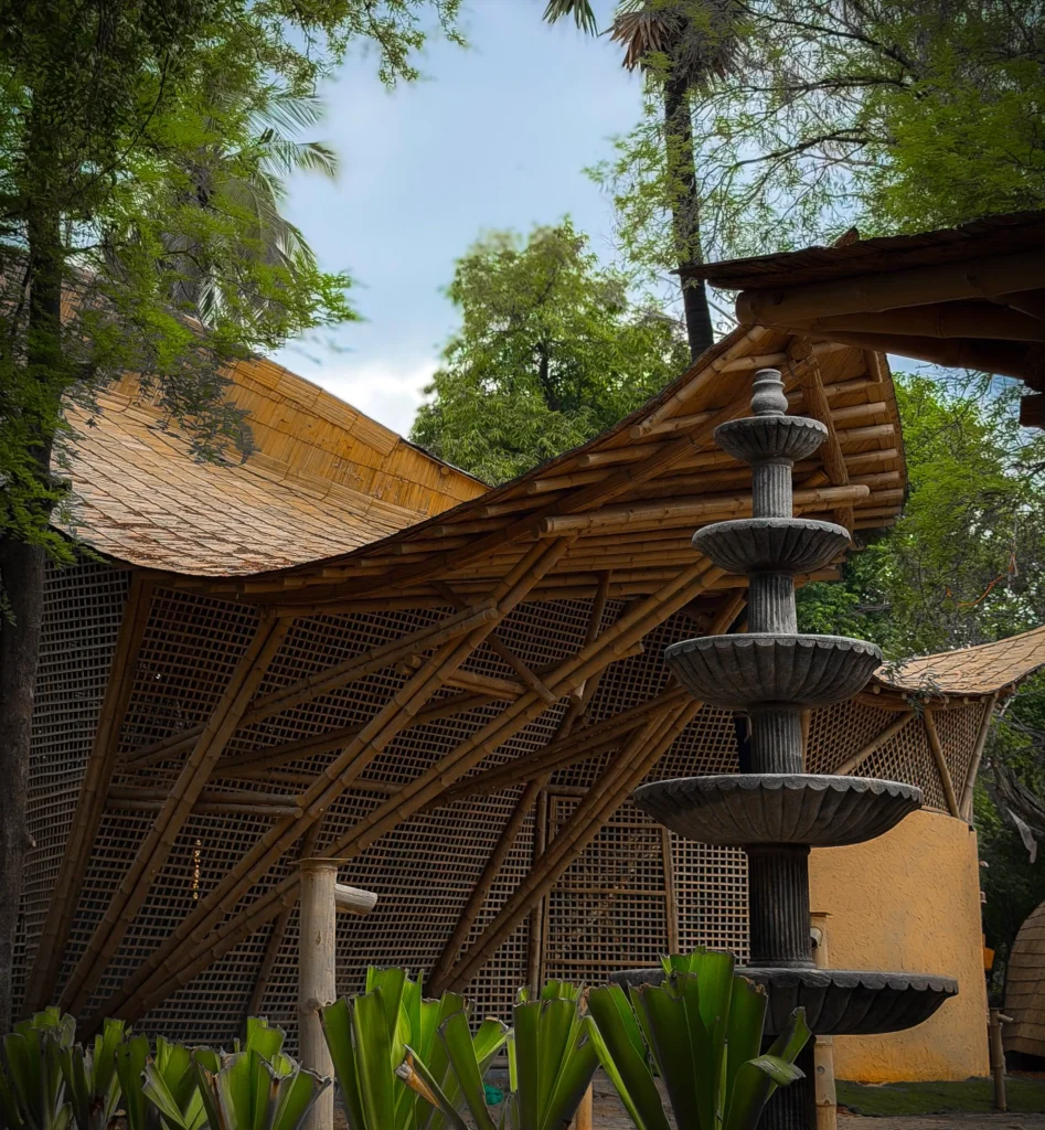 Low-angle view of two curving bamboo roofs under trees with red earth in the foreground