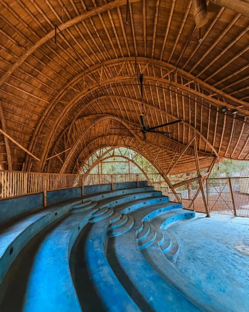 Interior of the auditorium showing blue tiered seating under a soaring bamboo vaulted ceiling