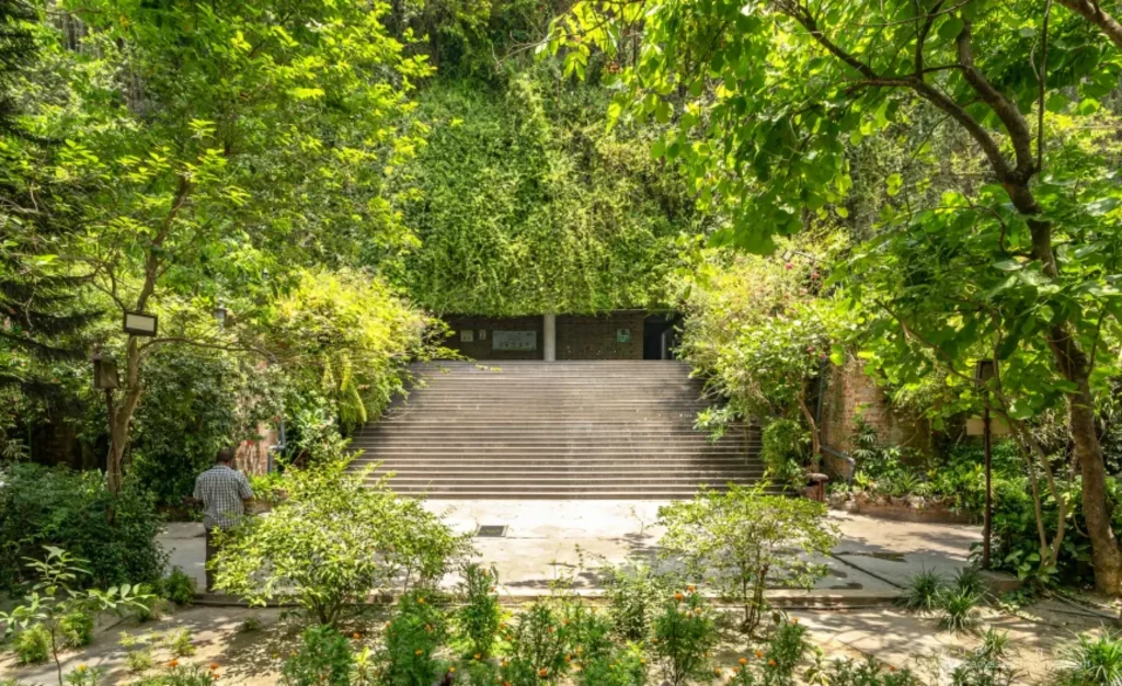 Wide concrete staircase leading up into a densely planted green hillside entrance