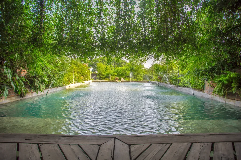 Long rectangular pool framed by hanging greenery and water jets