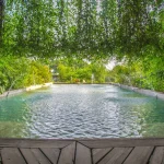 Long rectangular pool framed by hanging greenery and water jets