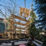 Prefabricated timber module being lifted by crane onto the scaffolded structure during construction
